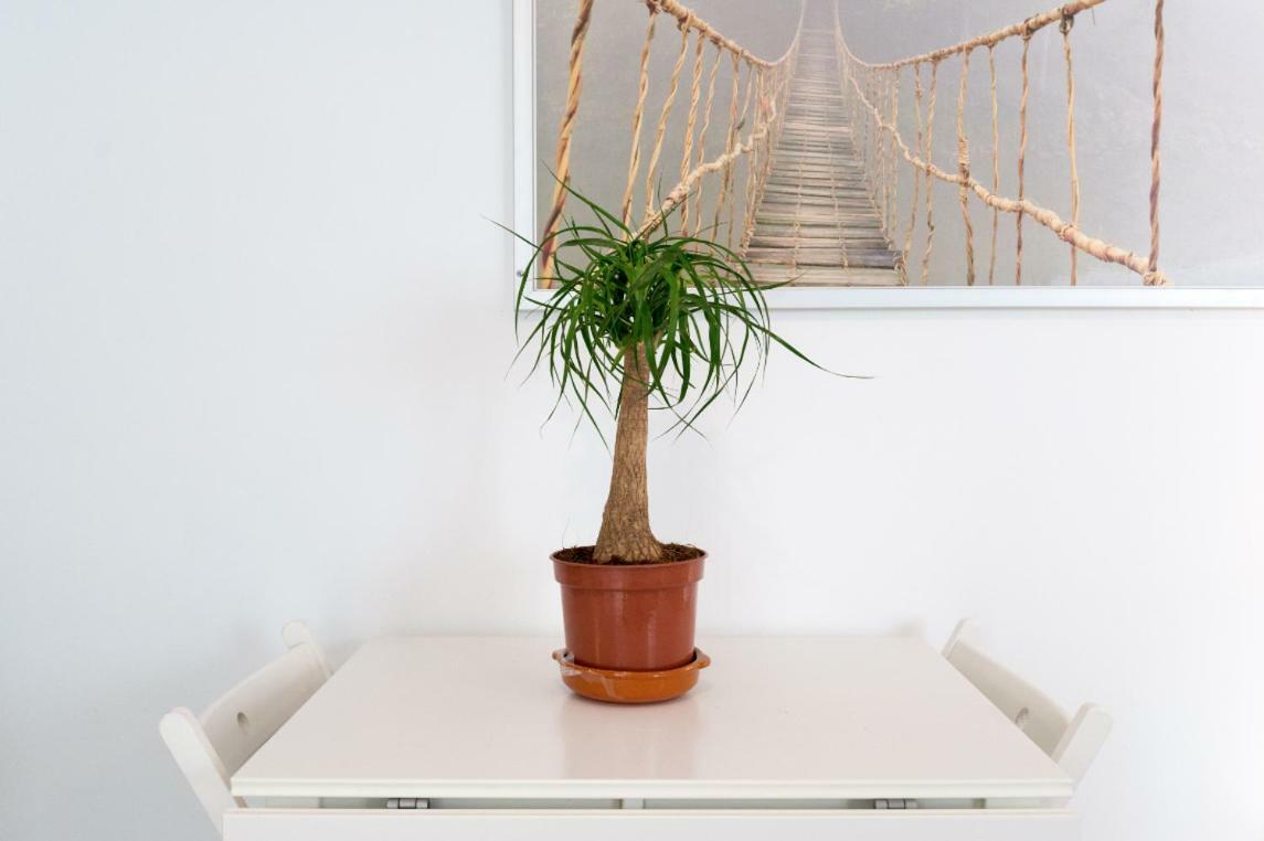 Ml1C-Prime Location Marble Apartment With Patios Málaga Exteriör bild