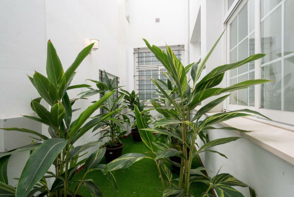 Ml1C-Prime Location Marble Apartment With Patios Málaga Exteriör bild